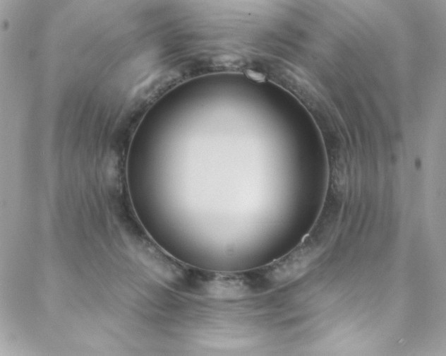 X0000088640270200705251505