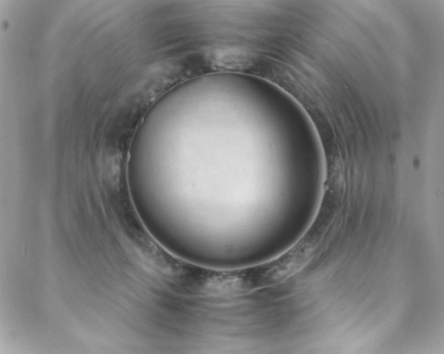 X0000088640271200705251505