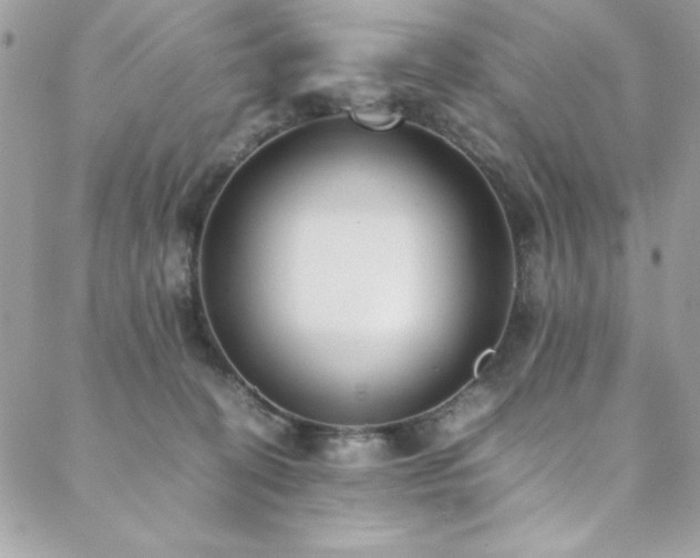 X0000088640274200705251505