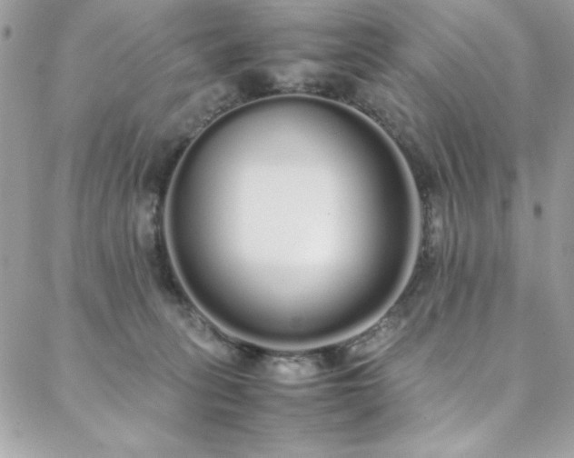 X0000088640275200705251505