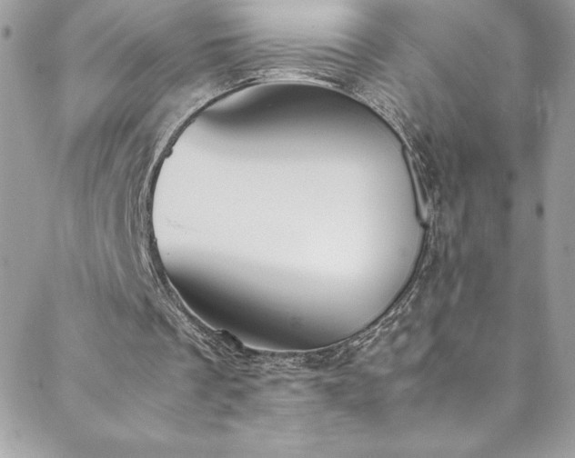 X0000088640289200705251504