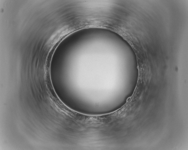 X0000088640290200705251504