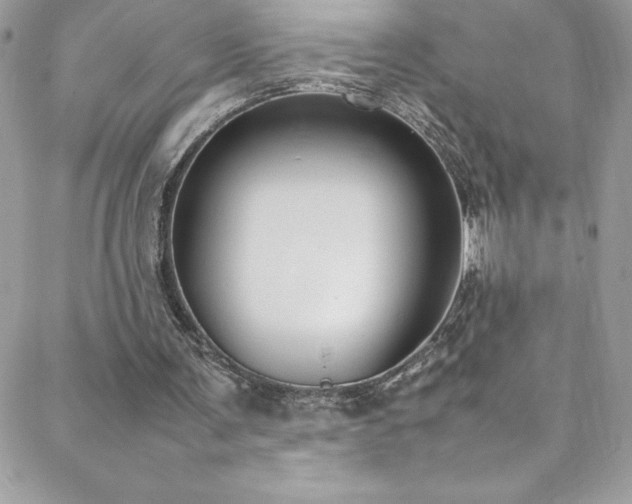 X0000088640291200705251504