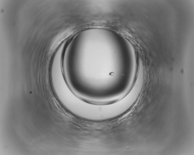 X0000088640293200705251504