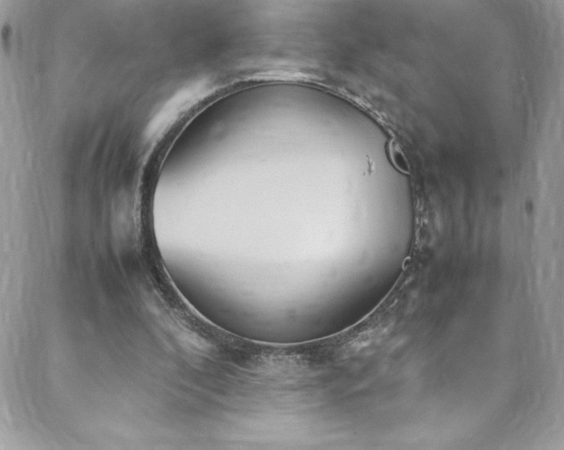 X0000088640296200705251504