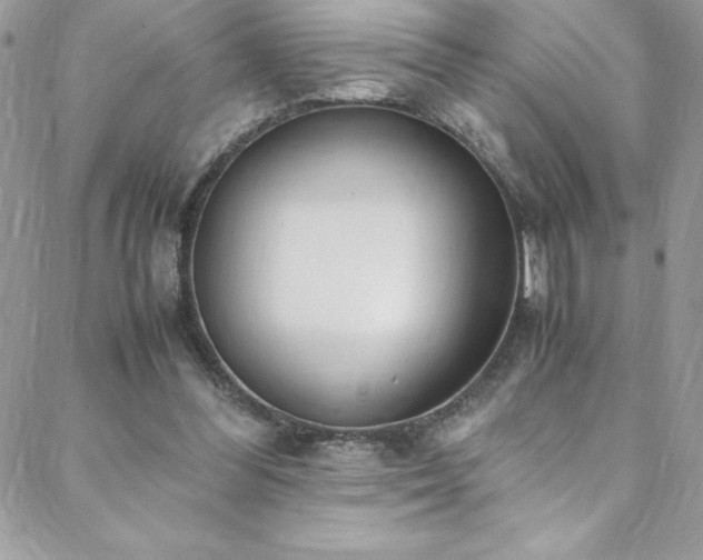 X0000088640300200705251504