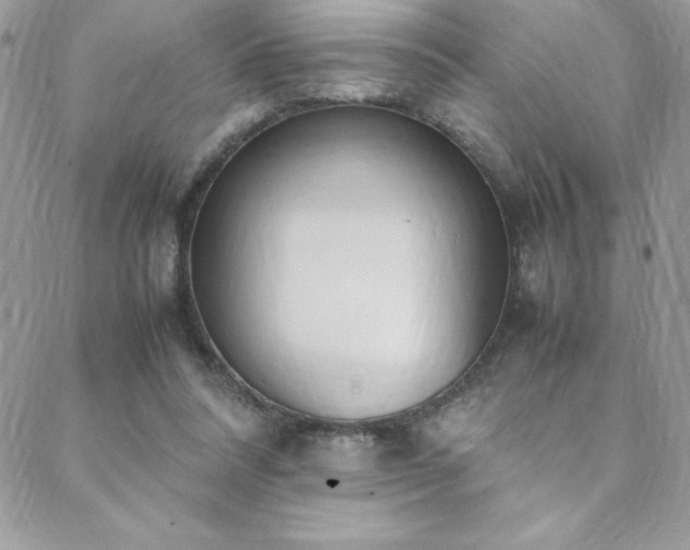 X0000088640304200705251504