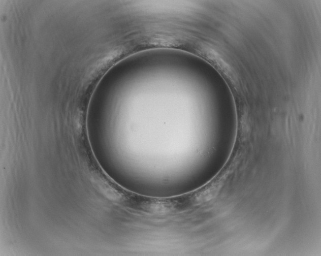 X0000088640305200705251504