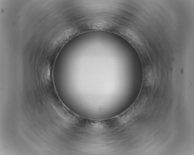 X0000088640310200705251504