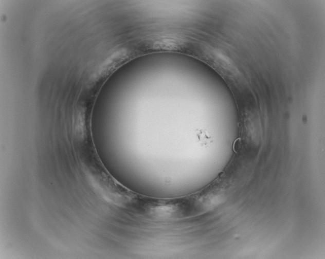 X0000088640312200705251504