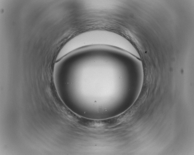 X0000088640313200705251504