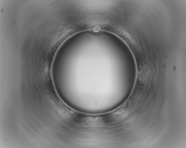 X0000088640314200705251504