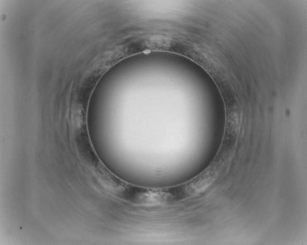 X0000088640323200705251504