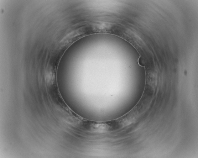 X0000088640324200705251504