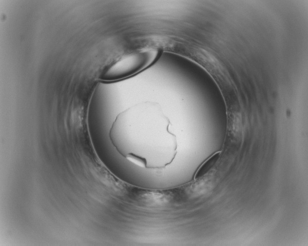 X0000088640326200705251504