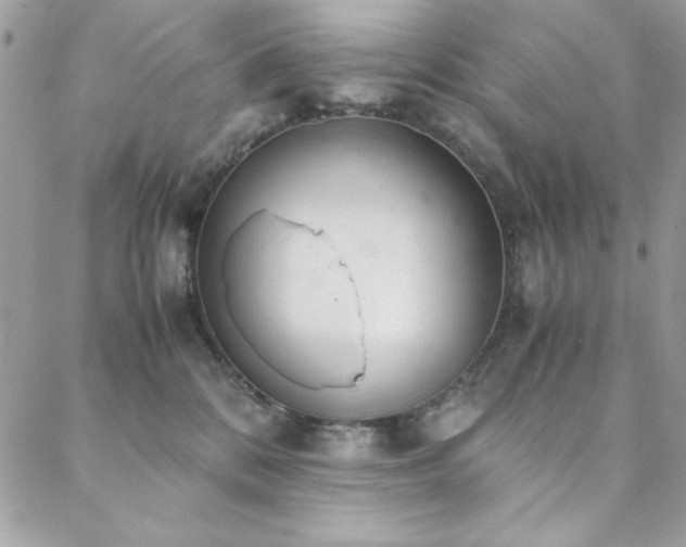 X0000088640328200705251504