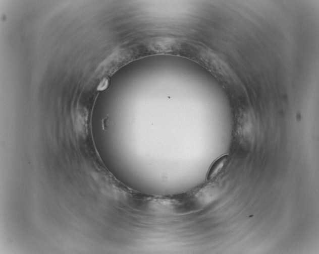 X0000088640332200705251504