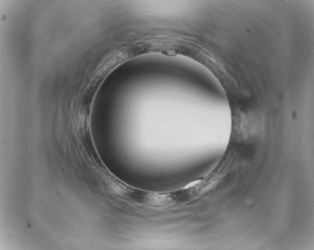 X0000088640333200705251504