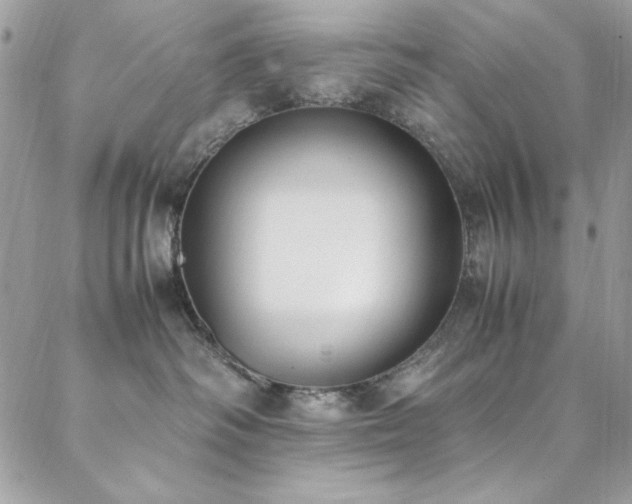 X0000088640334200705251504