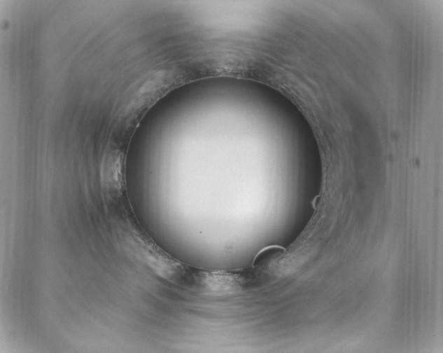 X0000088640336200705251504