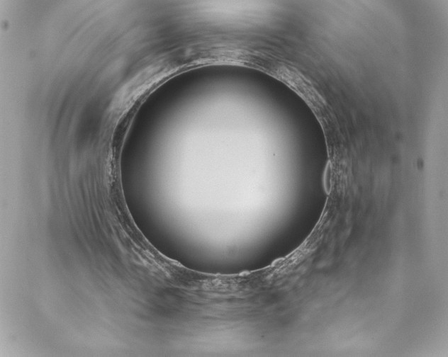 X0000088640338200705251503