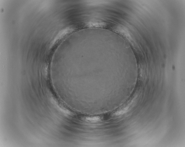X0000088640357200705251503