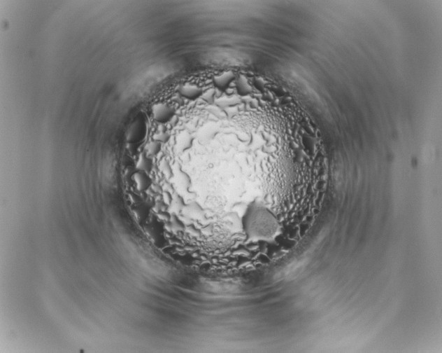 X0000088640359200705251503