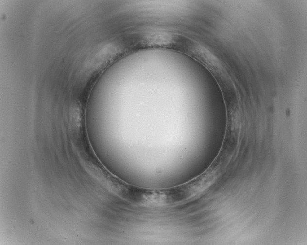 X0000088640362200705251503