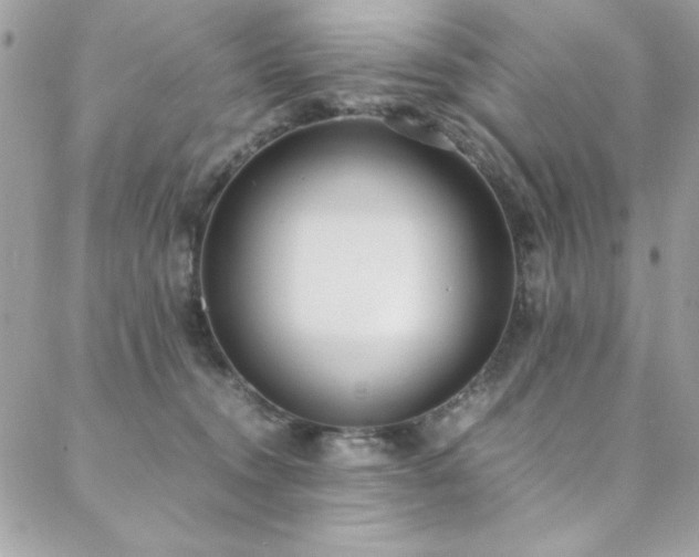 X0000088640372200705251503