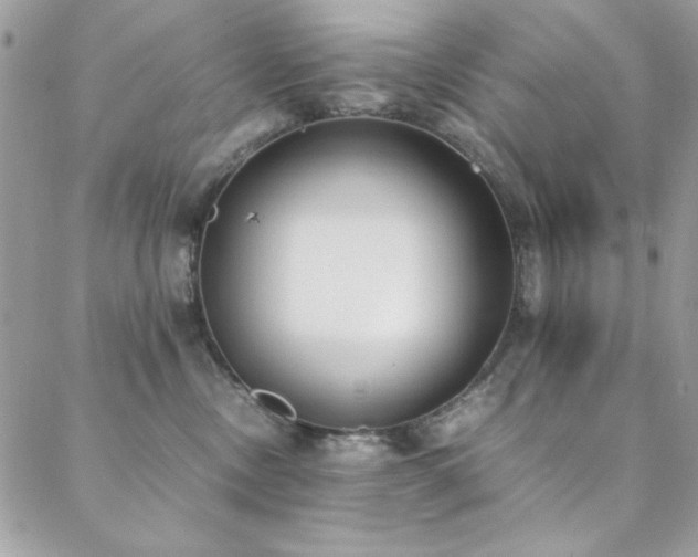 X0000088640378200705251504