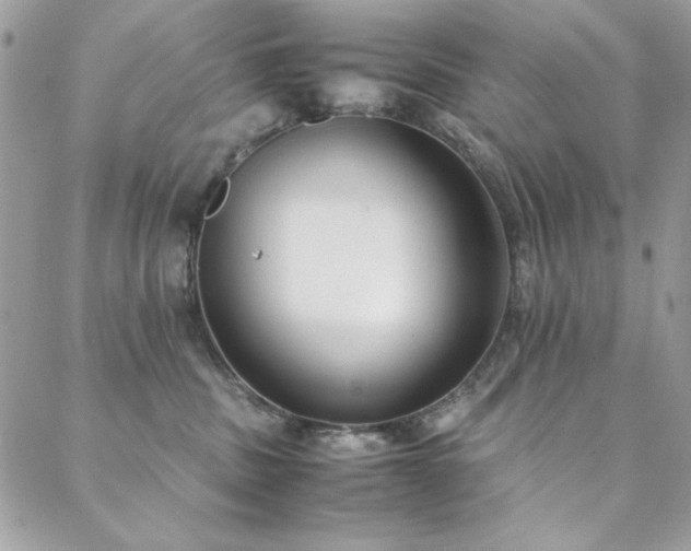 X0000088640379200705251504