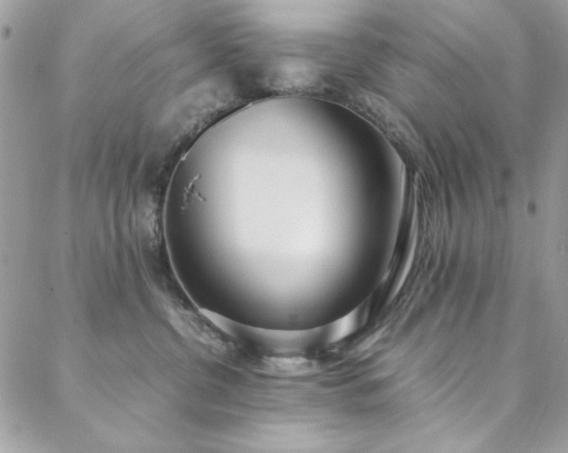 X0000088640380200705251504