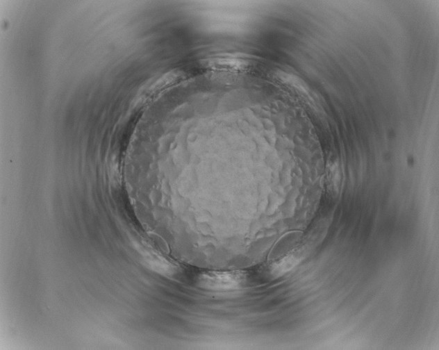 X0000088640381200705251504