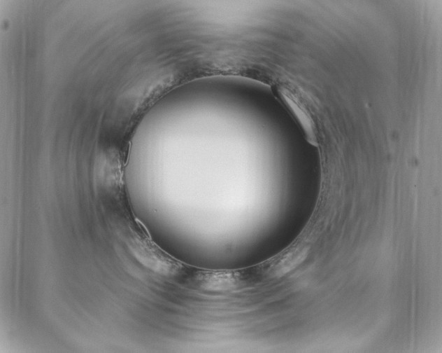 X0000088640384200705251504