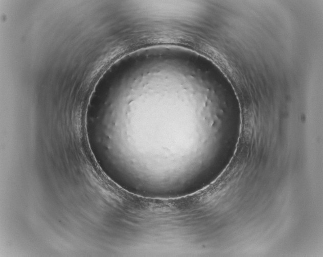 X0000088640386200705251503