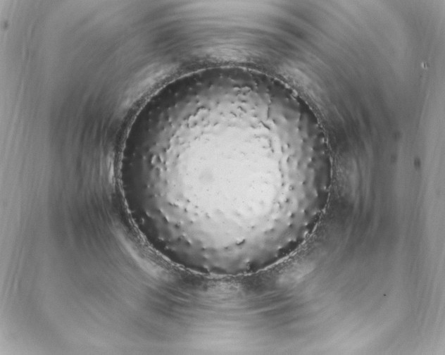 X0000088640398200705251503