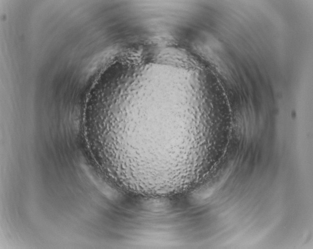 X0000088640402200705251503