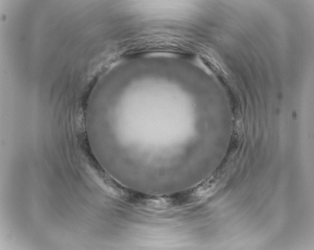 X0000088640411200705251502