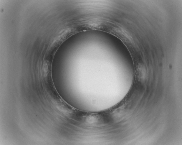 X0000088640412200705251502