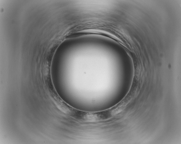 X0000088640413200705251502