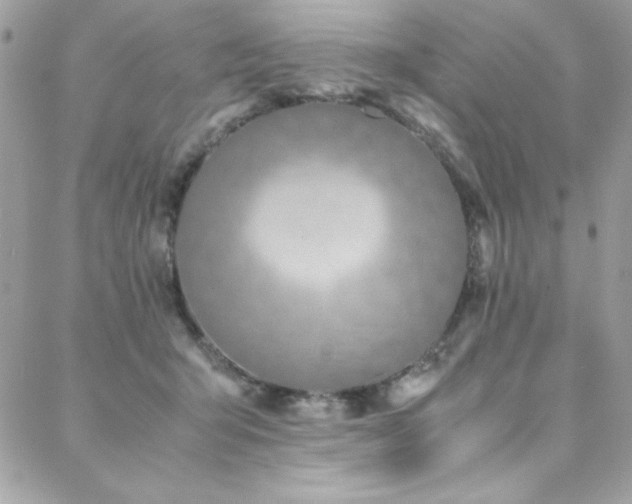 X0000088640415200705251502