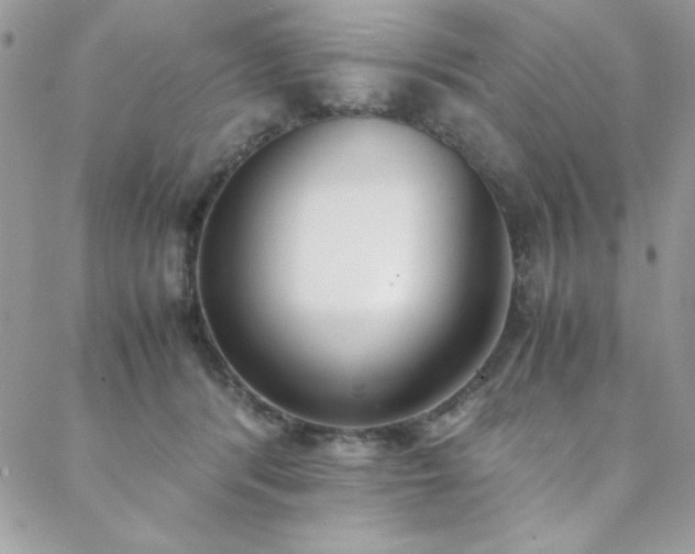 X0000088640416200705251502