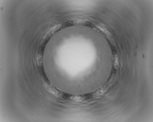 X0000088640419200705251502