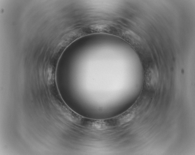 X0000088640420200705251502