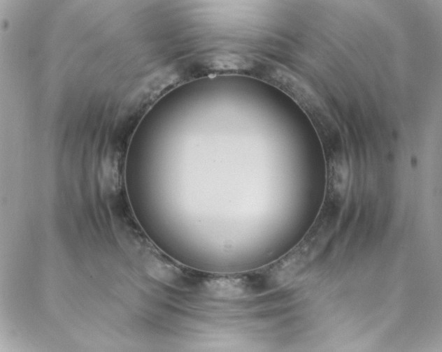 X0000088640422200705251502