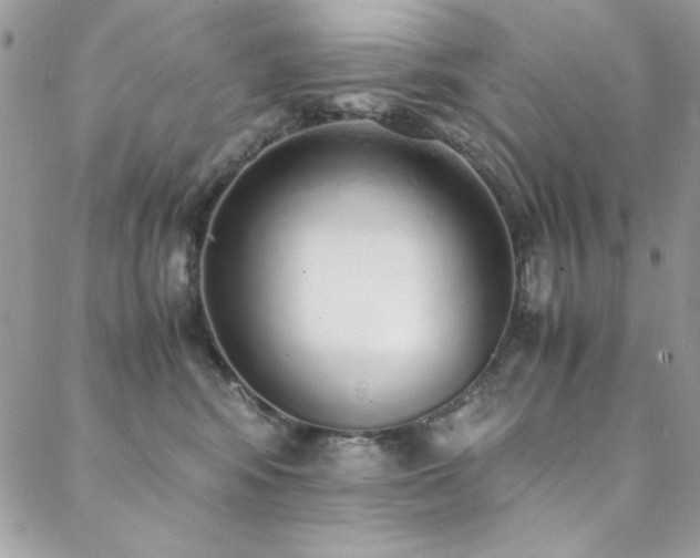 X0000088640424200705251502