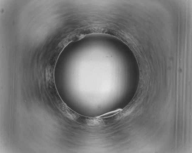 X0000088640432200705251502