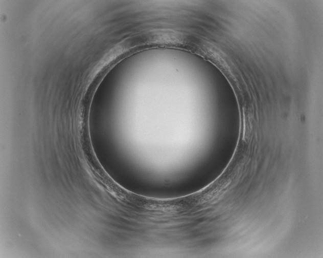X0000088640435200705251501