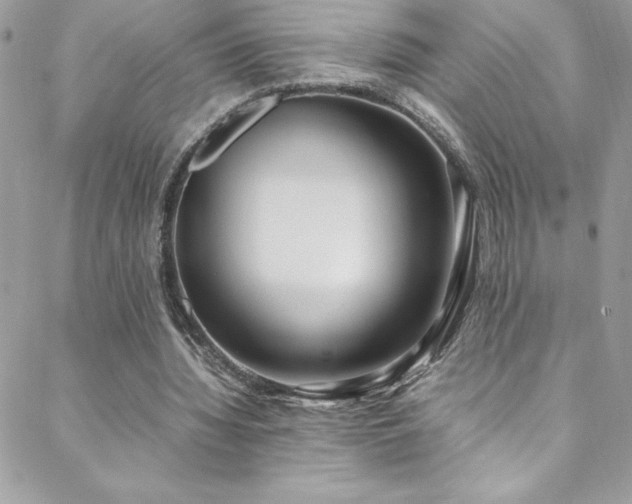 X0000088640436200705251501
