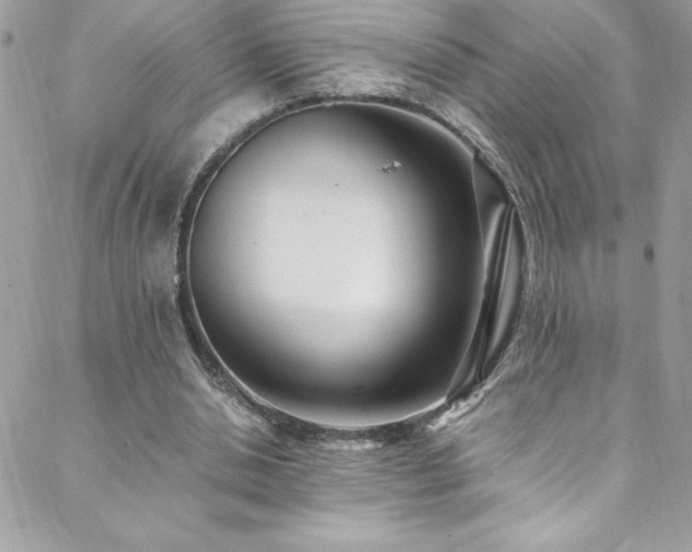 X0000088640438200705251501